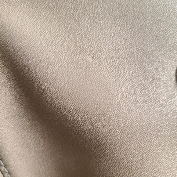 LONGCHAMP Highly Coveted Light Tan Le Pliage Bag - Picture 15 of 15